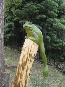 [Frog]