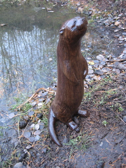 [Otter]